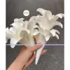 Hoa Loa Ken Xop Decor Tiec Cuoi - Cao Xu Wedding - Giam 20% Con 120.000 VND 3