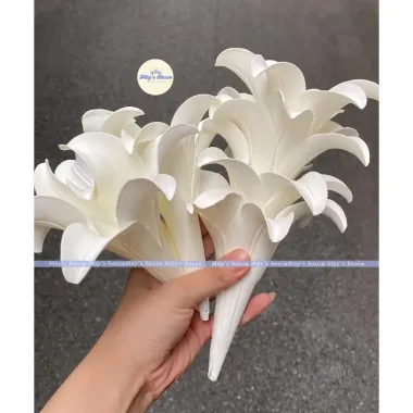 Hoa Loa Ken Xop Decor Tiec Cuoi - Cao Xu Wedding - Giam 20% Con 120.000 VND 3 Hoa Loa Ken Xop Decor Tiec Cuoi - Cao Xu Wedding - Giam 20% Con 120.000 VND 3