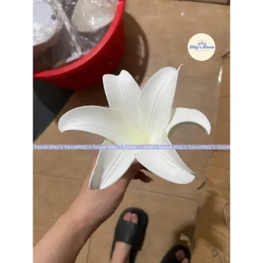 Hoa Loa Ken Xop Decor Tiec Cuoi - Cao Xu Wedding - Giam 20% Con 120.000 VND