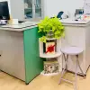Kệ Sách Góc Tường Gỗ Decor Đa Năng Giá Rẻ Chỉ 119k - Để Học Tập Và Làm Việc 11