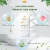 Kem Chống Nắng Ferfect Sun Cream Vimos 4 Trong 1 Vừa Chống Nắng, Vừa Dưỡng Ẩm, Vừa Giảm Sạm Nám, Vừa Làm Chậm Lão Hóa Da 8