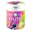 Kẹo Gum Không Đường LOTTE XYLITOL Hương Trái Cây Hỗn Hợp Giảm Cân 35k/Hũ 3