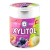 Kẹo Gum Không Đường LOTTE XYLITOL Hương Trái Cây Hỗn Hợp Giảm Cân 35k/Hũ 8