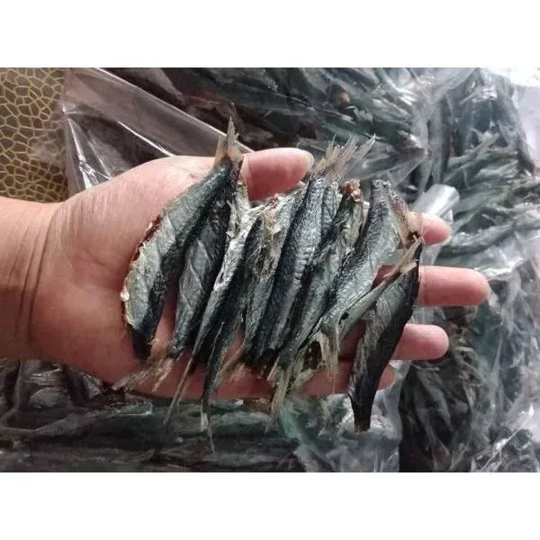 Hình ảnh sản phẩm Khô Cá Chuồn Mít Miền Trung Giảm Giá - Đặc Sản Biển 500gr Hương Vị Đậm Đà