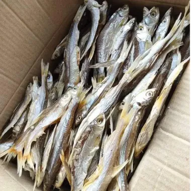 KHÔ CÁ MƯƠNG SÔNG ĐÀ PHƠI NẮNG TỰ NHIÊN THƠM NGON 1KG GIÁ TỐT 99.000Đ