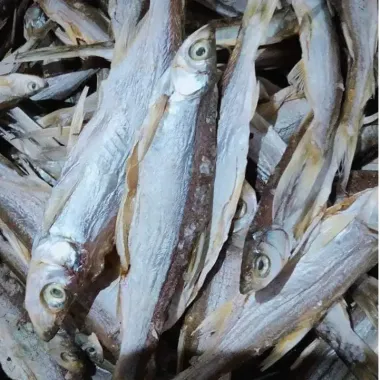 KHÔ CÁ MƯƠNG SÔNG ĐÀ PHƠI NẮNG TỰ NHIÊN THƠM NGON 1KG GIÁ TỐT 99.000Đ