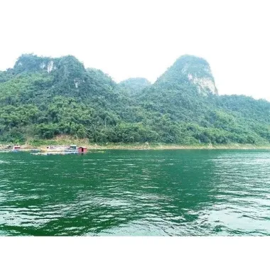 KHÔ CÁ MƯƠNG SÔNG ĐÀ PHƠI NẮNG TỰ NHIÊN THƠM NGON 1KG GIÁ TỐT 99.000Đ