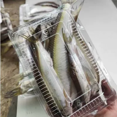 KHÔ CÁ MƯƠNG SÔNG ĐÀ PHƠI NẮNG TỰ NHIÊN THƠM NGON 1KG GIÁ TỐT 99.000Đ 5 KHÔ CÁ MƯƠNG SÔNG ĐÀ PHƠI NẮNG TỰ NHIÊN THƠM NGON 1KG GIÁ TỐT 99.000Đ 5