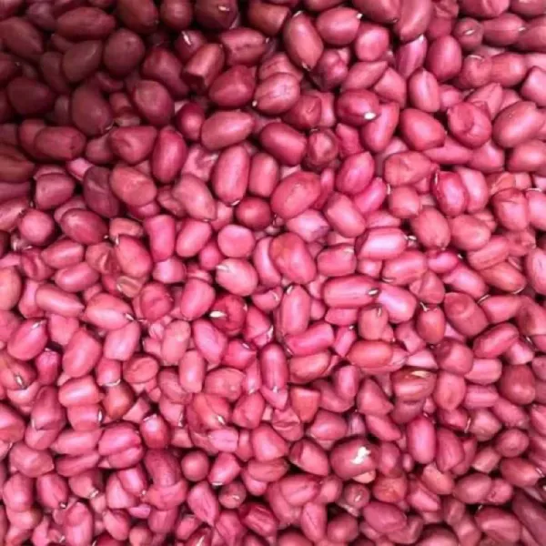 Cách bảo quản lạc đỏ loại 1 Nghệ An Tây Bắc để giữ độ giòn và thơm lâu