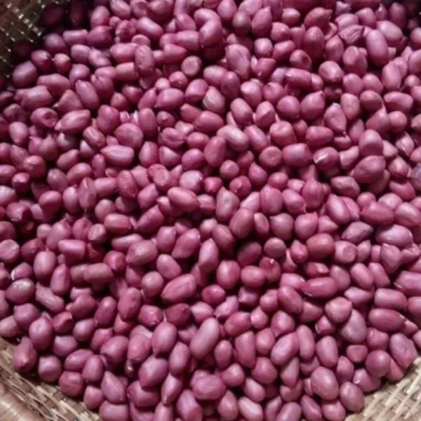 Trải nghiệm hương vị hạt to ngon của lạc đỏ loại 1 – đánh giá thực tế từ người tiêu dùng