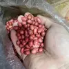 Lạc Đỏ Loại 1 Nghệ An Tây Bắc Hạt To Ngon Giảm Giá 45.000đ 4