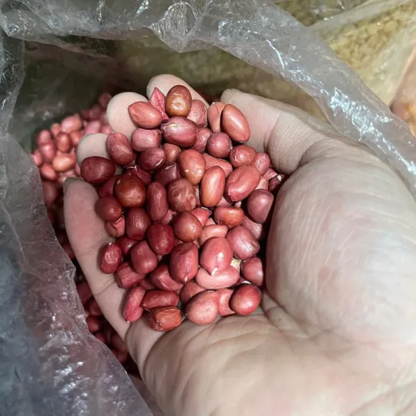 Hình ảnh sản phẩm Lạc Đỏ Loại 1 Nghệ An Tây Bắc Hạt To Ngon Giảm Giá 45.000đ