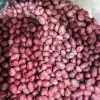 Lạc Đỏ Loại 1 Nghệ An Tây Bắc Hạt To Ngon Giảm Giá 45.000đ 5