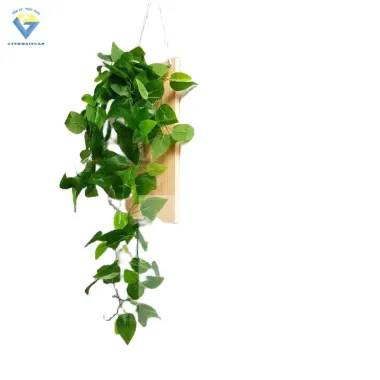 Lọ hoa trang trí khung gỗ treo tường dây gắn sẵn - Giảm 22% còn 25.500đ