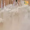 Lưới Đánh Cá 3 Màn Cao 75cm Dài 25-30m Giá Rẻ - Bắt Cá Nhỏ Đến To Tại Ao Hồ Sông Suối 7