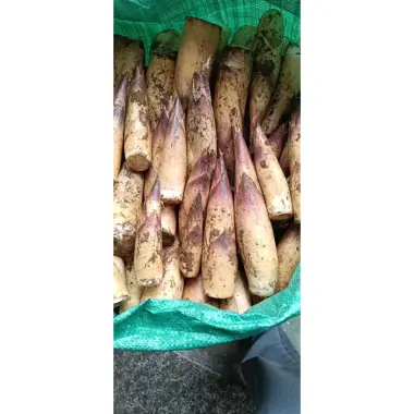 Măng Vầu Ngọt Tây Bắc Tặng Chẩm Chéo - Ưu Đãi 89k/1kg, 2kg, 4kg - Măng tươi ngon giá chỉ 89.000đ 5 Măng Vầu Ngọt Tây Bắc Tặng Chẩm Chéo - Ưu Đãi 89k/1kg, 2kg, 4kg - Măng tươi ngon giá chỉ 89.000đ 5