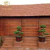 Mành Sáo Tre Che Nắng Ban Công Cửa Chính - Rộng 1.5m-2m, Cao 2.5m, Giá Chỉ 335k 9