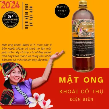 Mật Ong Khoái Điện Biên Nguyên Chất - Giảm 60k - Mua Ngay 250k HTX Quà Điện Biên 3 Mật Ong Khoái Điện Biên Nguyên Chất - Giảm 60k - Mua Ngay 250k HTX Quà Điện Biên 3