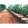 Mật Ong Rừng Nguyên Chất 100% Tự Nhiên Giá Rẻ Chỉ 20k - Mua Ngay Tại Nhật Lộ Store
