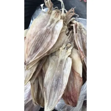 Mực Khô Size 22-24 Con/Kg - Giá Rẻ 800.000đ - Ảnh Thật - Mua Ngay 1 Mực Khô Size 22-24 Con/Kg - Giá Rẻ 800.000đ - Ảnh Thật - Mua Ngay 1