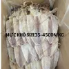 Mực Khô Trung Lớn 35-45 Con/Kg Giá Rẻ - Mực Mới Tươi Ngon Chất Lượng Cao 480k 1