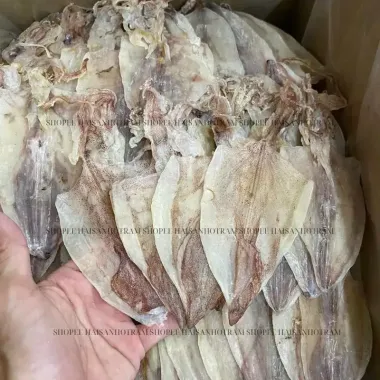 Mực Khô Trung Lớn 35-45 Con/Kg Giá Rẻ - Mực Mới Tươi Ngon Chất Lượng Cao 480k