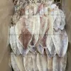 Mực Khô Trung Lớn 35-45 Con/Kg Giá Rẻ - Mực Mới Tươi Ngon Chất Lượng Cao 480k 5