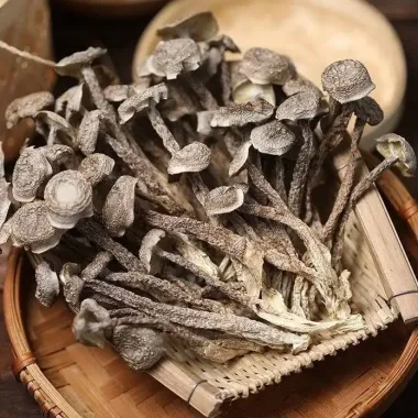 Nấm Lộc Nhung 500g Khô (Nấm Nhung Hươu) Hàng Chuẩn Loại 1, Không Vụn Nguyên Thân Dài, Đẹp - Treesy Thảo Mộc 3 Nấm Lộc Nhung 500g Khô (Nấm Nhung Hươu) Hàng Chuẩn Loại 1, Không Vụn Nguyên Thân Dài, Đẹp - Treesy Thảo Mộc 3