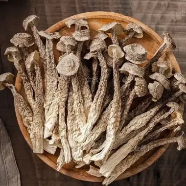 Nấm Lộc Nhung 500g Khô (Nấm Nhung Hươu) Hàng Chuẩn Loại 1, Không Vụn Nguyên Thân Dài, Đẹp - Treesy Thảo Mộc