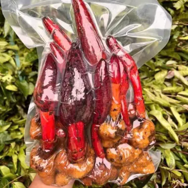 Nấm ngọc cẩu tươi Tây Bắc 1kg bổ thận tráng dương, giá gốc 132.300đ giảm còn 105.000đ 2 Nấm ngọc cẩu tươi Tây Bắc 1kg bổ thận tráng dương, giá gốc 132.300đ giảm còn 105.000đ 2