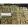 Ốc Móng Tay Khô Giảm Giá - Ốc To Không Mặn, Ngọt Như Mực Khô, 200k 6