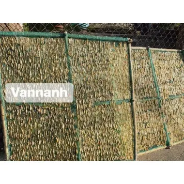 Ốc Móng Tay Khô Giảm Giá - Ốc To Không Mặn, Ngọt Như Mực Khô, 200k