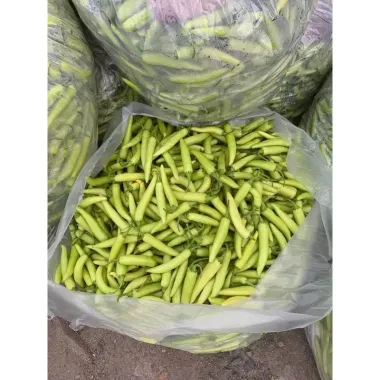 Ớt Sừng Xanh Huế Tươi Cay Thơm Giòn 1kg Giá Rẻ 75.000đ 6