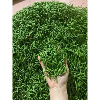 Ớt Xiêm Ngâm Dì Cẩn Đà Nẵng 500g - Giảm Giá Còn 86k Từ 110k - Món Ăn Phụ Thơm Ngon 7 Ớt Xiêm Ngâm Dì Cẩn Đà Nẵng 500g - Giảm Giá Còn 86k Từ 110k - Món Ăn Phụ Thơm Ngon 7
