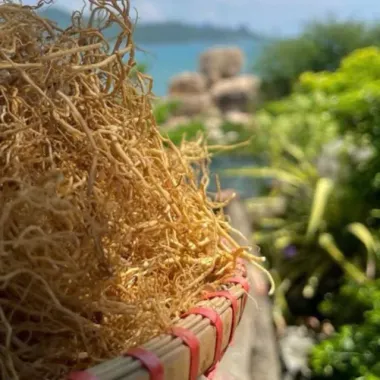 Rong Câu Chỉ Vàng 250gr Tóc Tiên - Rau Câu Chì Vàng Dùng Làm Xu Xoa Giá Tốt 45k 4 Rong Câu Chỉ Vàng 250gr Tóc Tiên - Rau Câu Chì Vàng Dùng Làm Xu Xoa Giá Tốt 45k 4