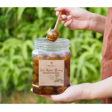 Sấu Ngâm Đường Gừng Chua Ngọt Mơ Farm 1kg - Đặc Sản Miền Bắc Giá Rẻ 3