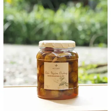Sấu Ngâm Đường Gừng Chua Ngọt Mơ Farm 1kg - Đặc Sản Miền Bắc Giá Rẻ 4
