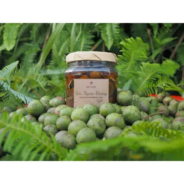 Sấu Ngâm Đường Gừng Chua Ngọt Mơ Farm 1kg - Đặc Sản Miền Bắc Giá Rẻ 9