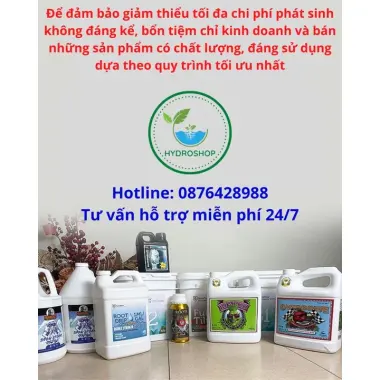 Siêu Kích Bông Cứng Tăng Hoa - Tăng Năng Suất Cây Ra Hoa Chỉ 139k 5