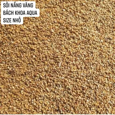 Sỏi Nắng Vàng Colorado - Trang Trí Bể Cá Rẻ 10.000đ/0.5kg-1kg Siêu Khuyến Mãi! 4 Sỏi Nắng Vàng Colorado - Trang Trí Bể Cá Rẻ 10.000đ/0.5kg-1kg Siêu Khuyến Mãi! 4