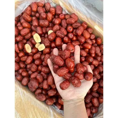 Táo Đỏ Sapa 500g Giá Rẻ - Giảm Chỉ 85000đ - Món Quà Từ Thiên Nhiên