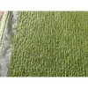Thảm cỏ nhân tạo lót sàn 2cm giá rẻ chỉ 65.000đ - Giao hỏa tốc chóng