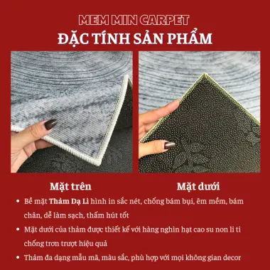Thảm Dạ Lì Decor Phòng Khách 1m6x2m3, 2mx3m - Giảm 58.8K, Chỉ 280K 6 Thảm Dạ Lì Decor Phòng Khách 1m6x2m3, 2mx3m - Giảm 58.8K, Chỉ 280K 6