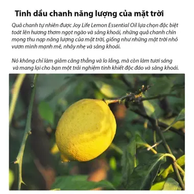 Tinh dầu nguyên chất Xiaomi HL giá chỉ 179k - Tiết kiệm 17% 5 Tinh dầu nguyên chất Xiaomi HL giá chỉ 179k - Tiết kiệm 17% 5