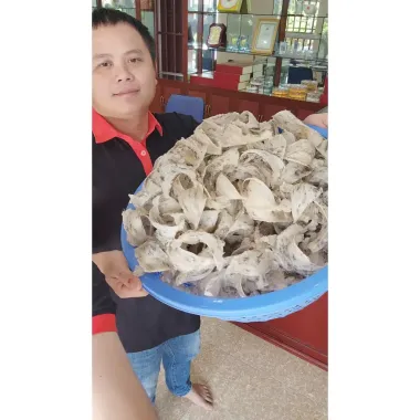 Tổ Yến Thô Cao Cấp - Yến Sào Đinh Thuận Giá Rẻ 1.250.000đ - Mua Yến Sào Tốt Nhất 4