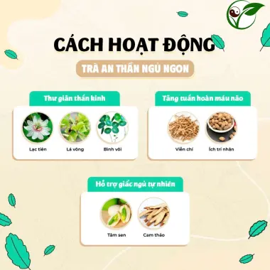 Trà An Thần Ngủ Ngon Ba Vì - Giảm Stress, Mất Ngủ, Tăng Cường Thần Kinh 3