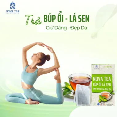Trà Búp Ổi Lá Sen Giảm Cân, Đẹp Da - 30 Gói x 4g, Giá Tốt 99.000đ 6