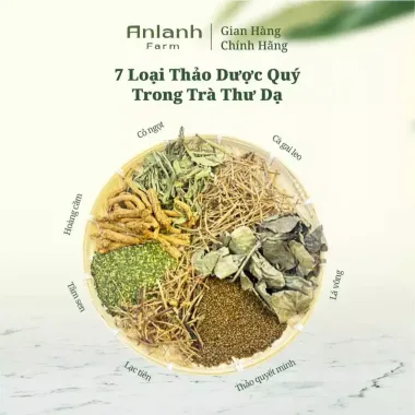 Trà Thư Dạ Thảo Mộc Tự Nhiên, Cải Thiện Giấc Ngủ Tốt, Giá Tốt 139k/Gói 50 Túi Lọc