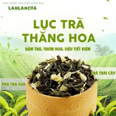Trà Xanh Lục Trà Thăng Hoa LANLANCHA - Pha Trà Sữa, Trà Trái Cây Đậm Vị, Thơm Hoa, Giá Rẻ 34.200đ 1