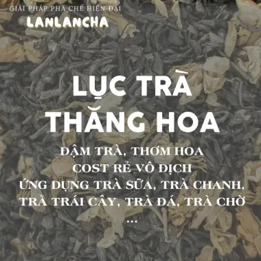 Trà Xanh Lục Trà Thăng Hoa LANLANCHA - Pha Trà Sữa, Trà Trái Cây Đậm Vị, Thơm Hoa, Giá Rẻ 34.200đ 3